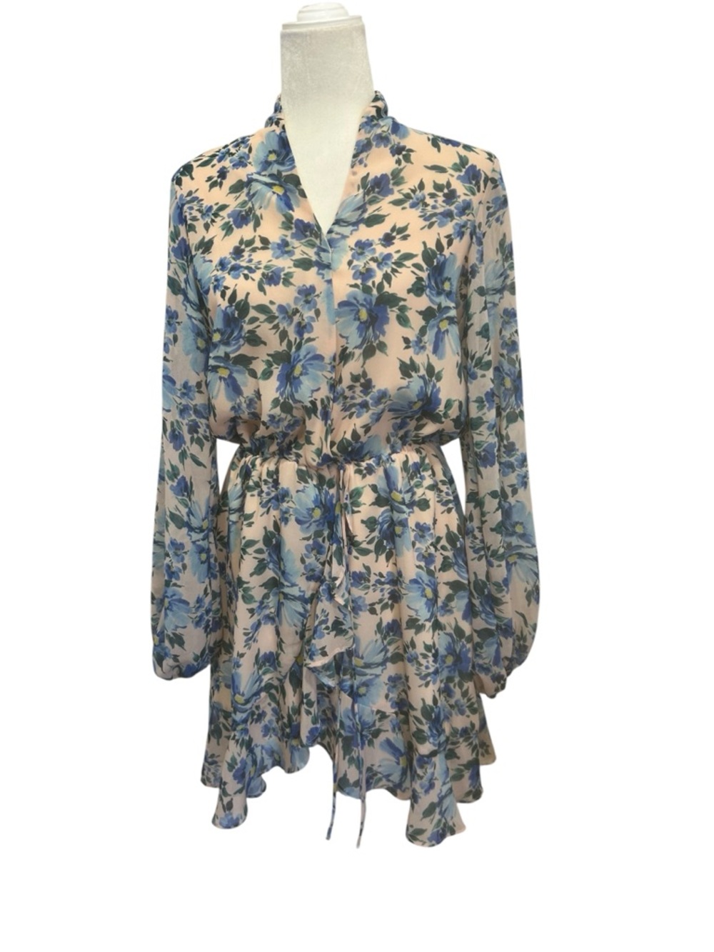 Alexa Admor Floral Mini Dress Blue Blush Elastic Waist Sheer Sleeve Womens sz 2 - Picture 2 of 13